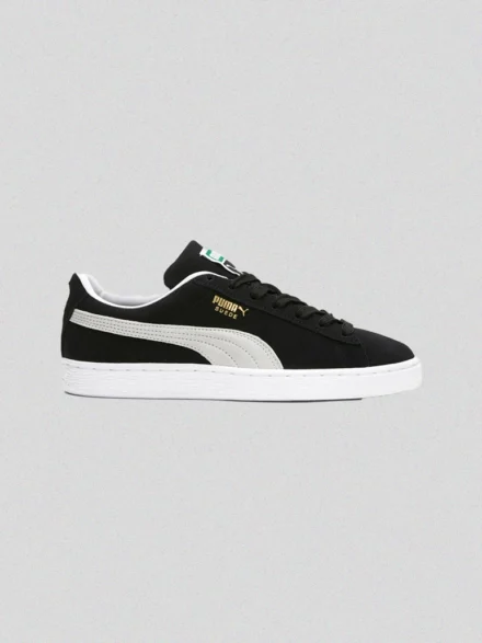 Puma Sucede